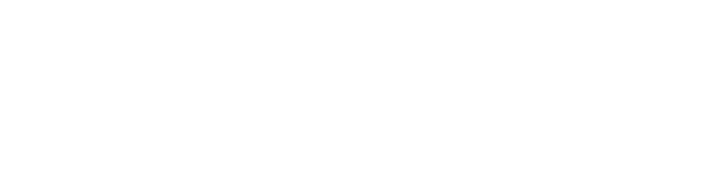 ZOCCAM Logo White
